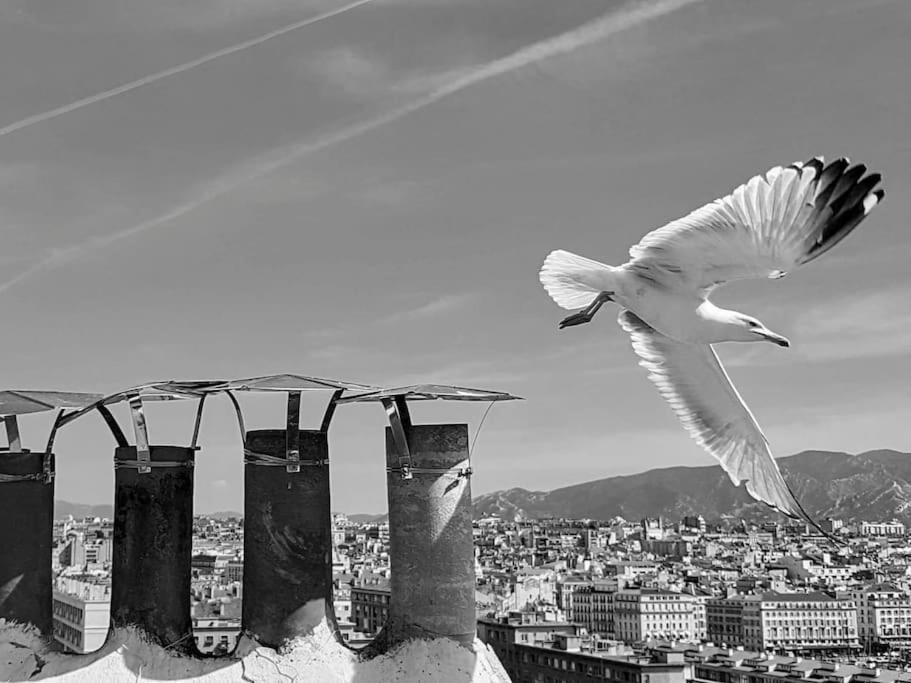 マルセイユEscapade Marseillaise Pres Des Terrasses Du Portアパートメント エクステリア 写真